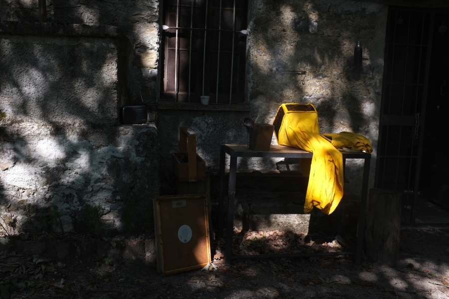 https://francescamarconi.com/files/gimgs/th-97_api-8.jpg