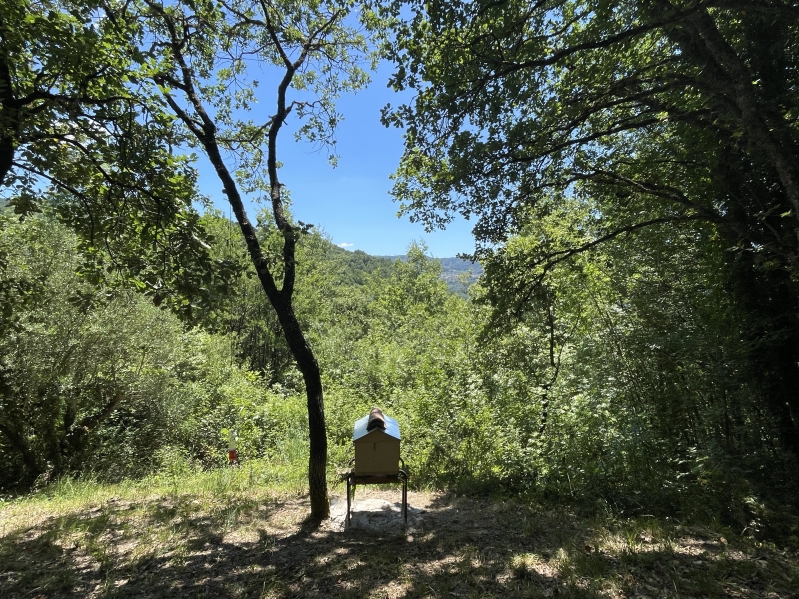 https://francescamarconi.com/files/gimgs/th-97_IMG_6247.jpeg