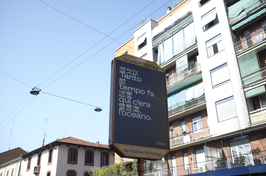 https://francescamarconi.com/files/gimgs/th-81_paline_bx-2.jpg